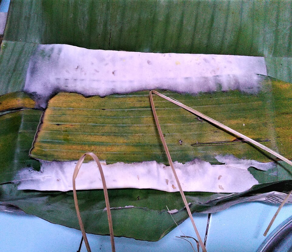 Tempe Daun Tradisional 1 Pcs